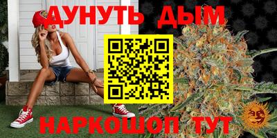 спиды Камень-на-Оби