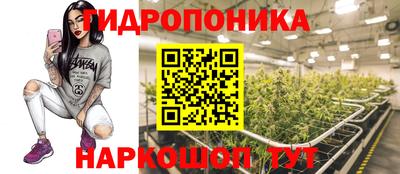 спиды Камень-на-Оби