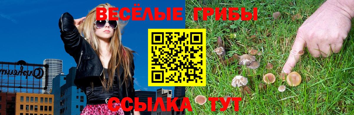 Галлюциногенные грибы Magic Shrooms  Вход с VPN  купить  сайты  Гурьевск 